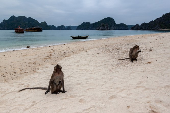 Visit Monkey Island